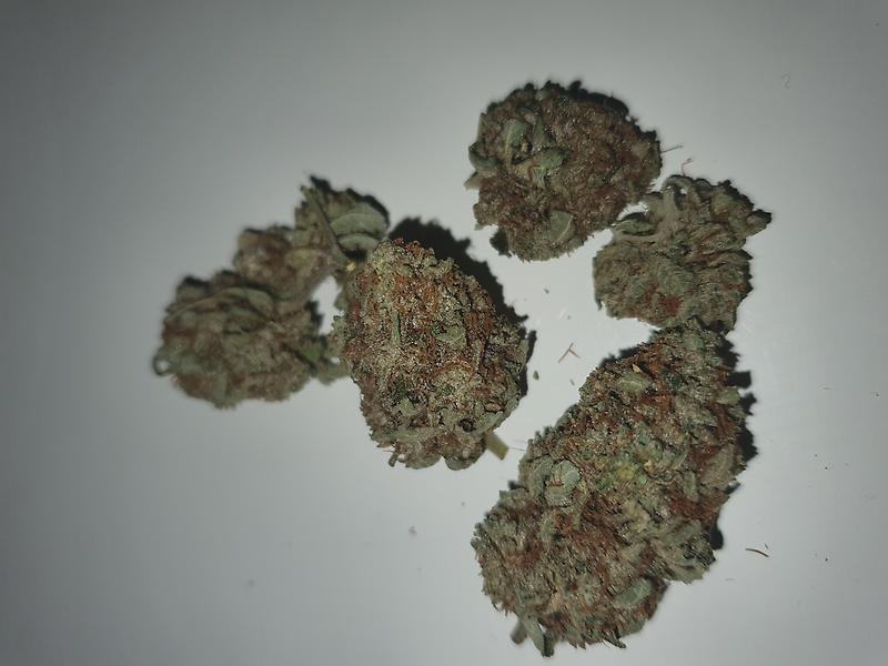 Stardawg
