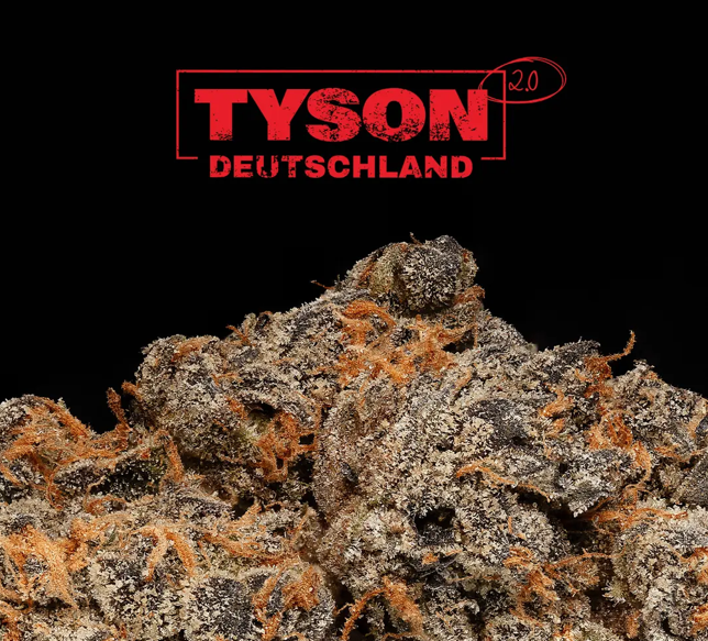 Exodus | Tyson 2.0 Medical Cannabis
