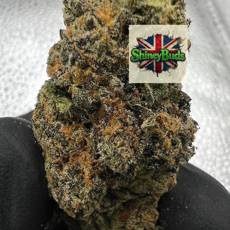 🇺🇸 Jack of Diamonds CONNECTED CANNABIS