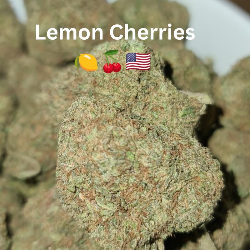 UK BUD'S
