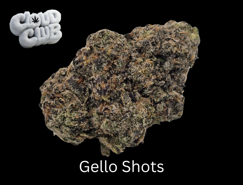 Gello Shotz