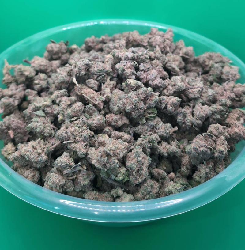 RAMBO Rainbow Sherbert 11 (RS11) Skunk 🍒🫐🍭