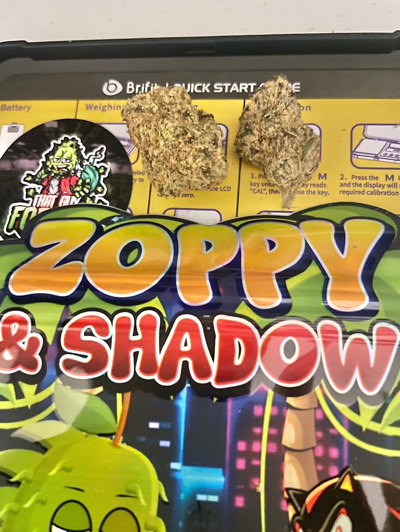 Shadow and Zoppy Cali by ZourZop