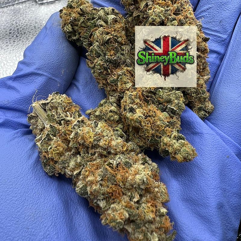 🇬🇧 Purple Lemon Drizzle