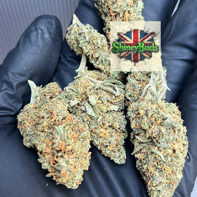 🇬🇧 Amnesia Haze