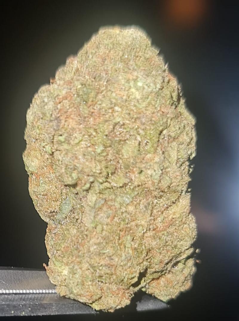 WHITE RUNTZ - 50/50 HYBRID - FREE TRACKED 24 SHIPPING