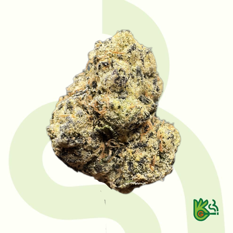 Gelato 41
