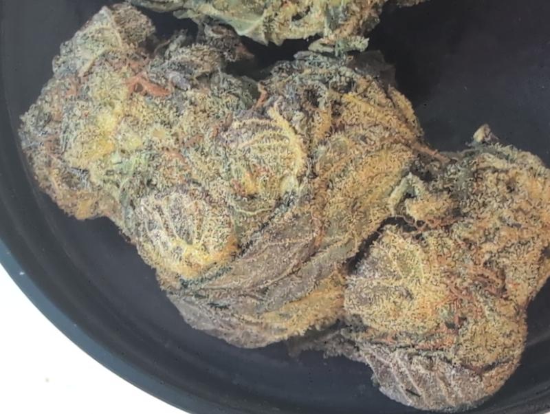 Z33 (Zkittlez x Gelato 33) UK TOP SHELF PREMIUM BUD