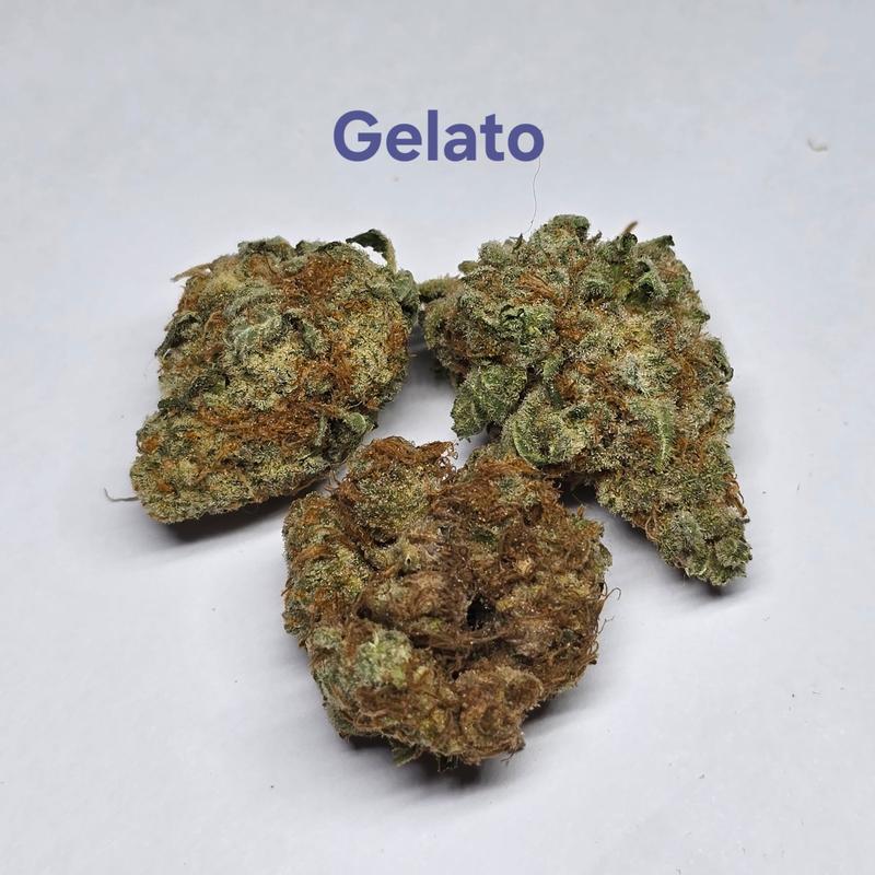 Make an oz for £160! ( Free T24 )