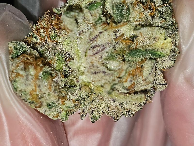 Gelato Punch 👊🏼