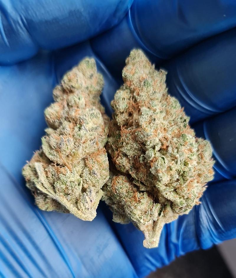 STRAWBERRIES & CREAM - 60/40 SATIVA - FREE TRACKED 24