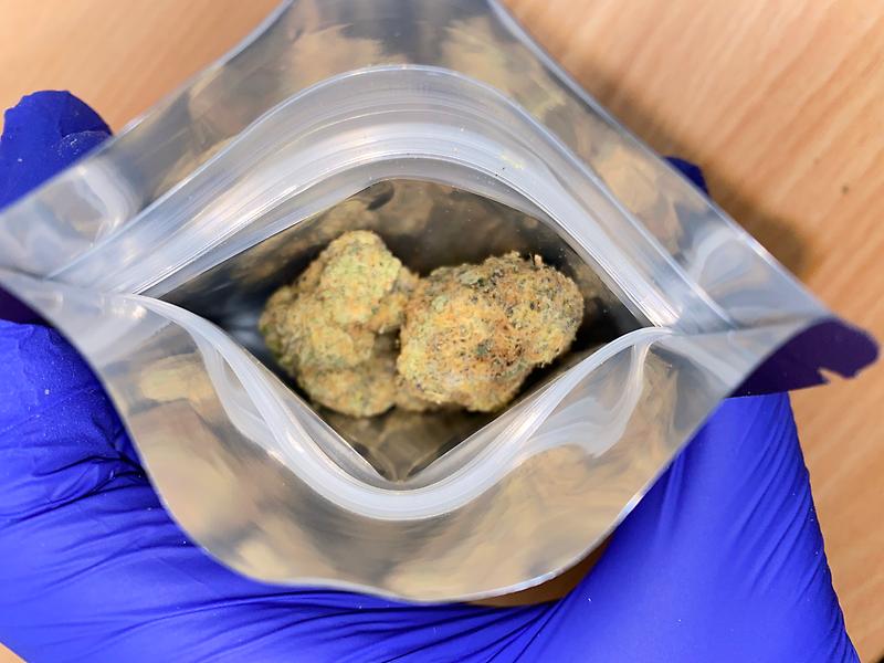 WIZARD TREES - BISCOTTI