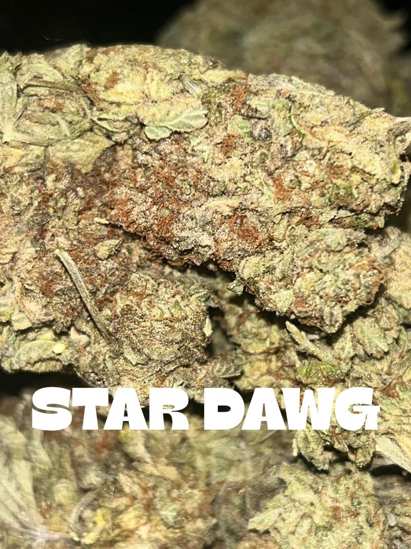 Stardawg