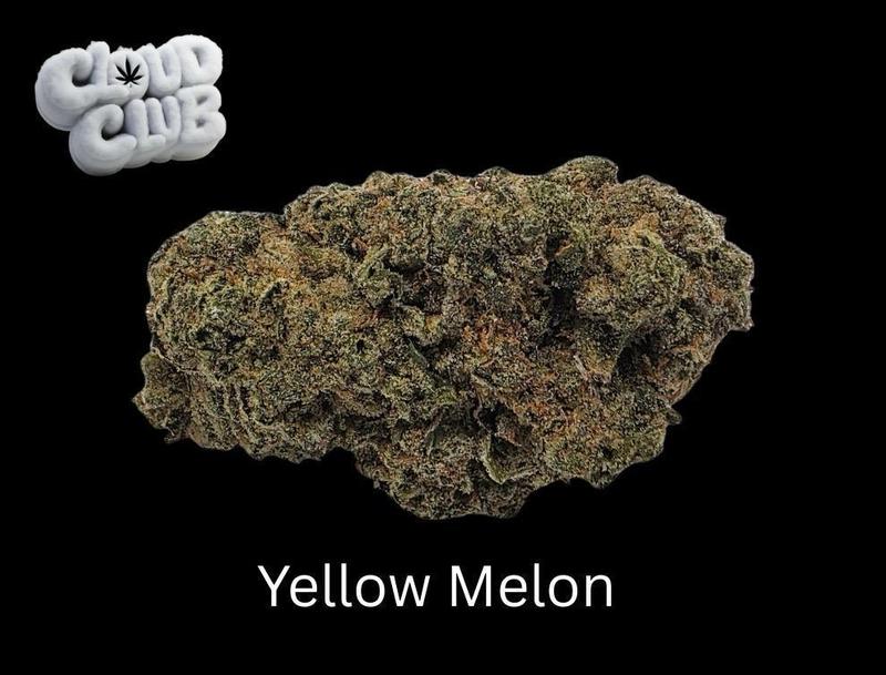 Yellow Melon