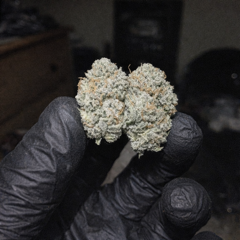 Frostbite