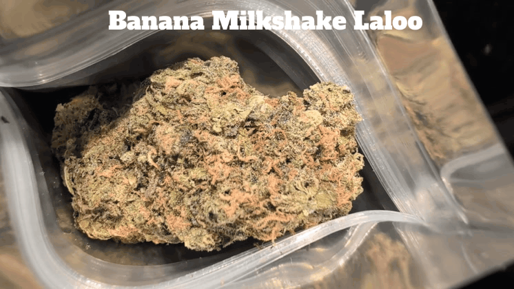 UK TOP SHELF SMALL BATCH🇬🇧 PGR FREE/ORGANIC