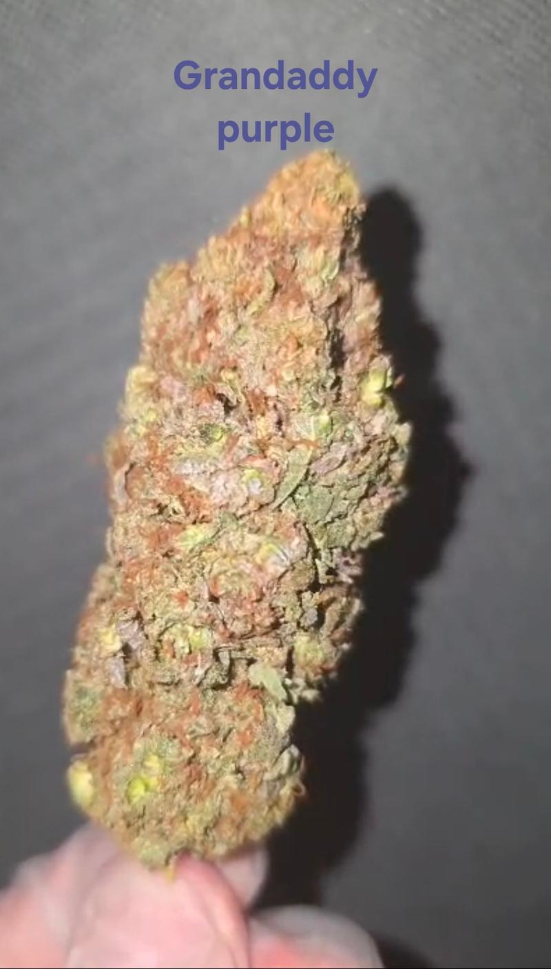 Make an oz for £160! ( Free T24 )