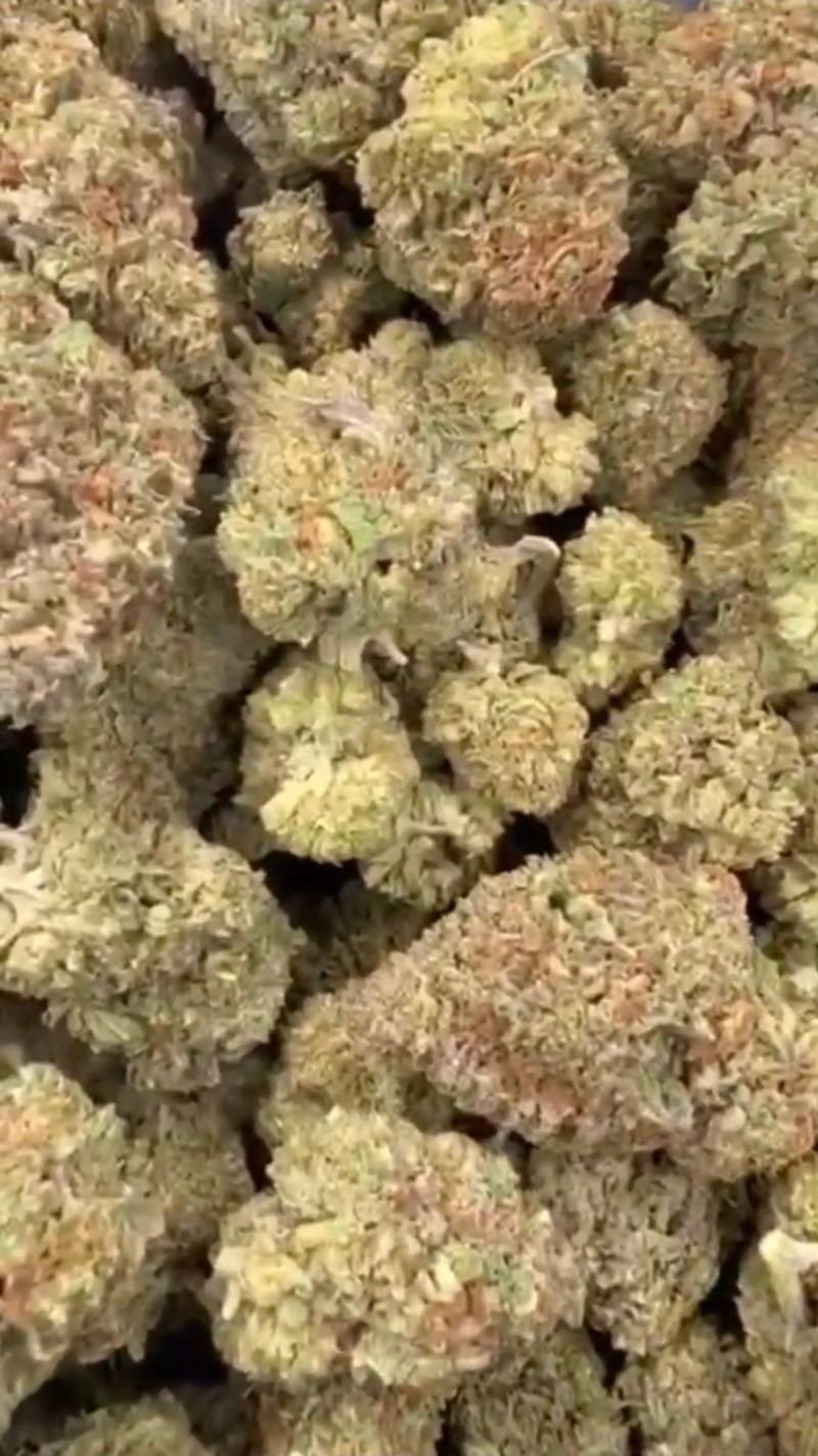 CHERRY BOOM 🍒💥 CALI MIDS