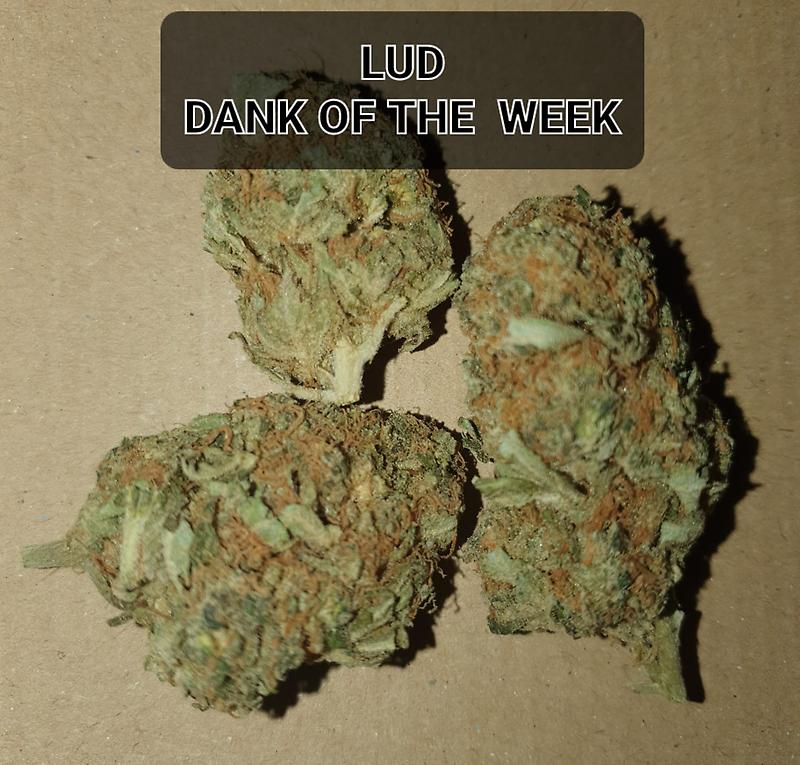 LUDS DANK OF THE WEEK