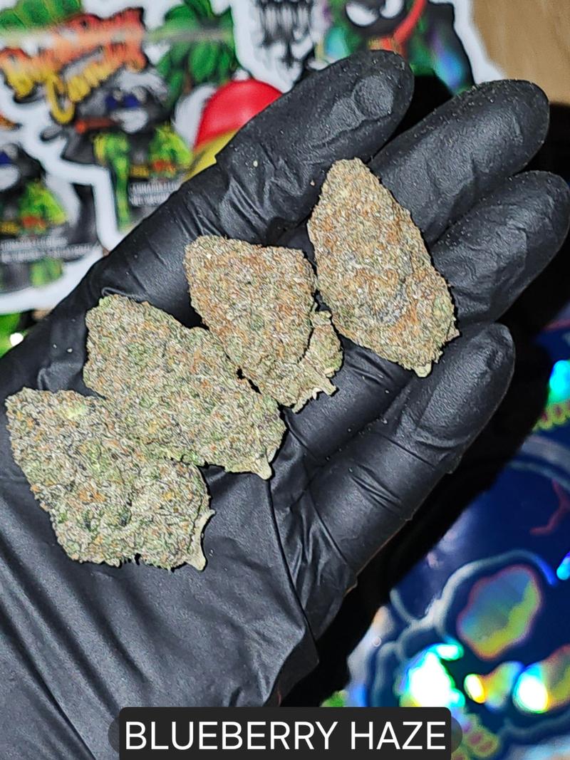 BLUEBERRY HAZE 🇹🇭🇬🇧