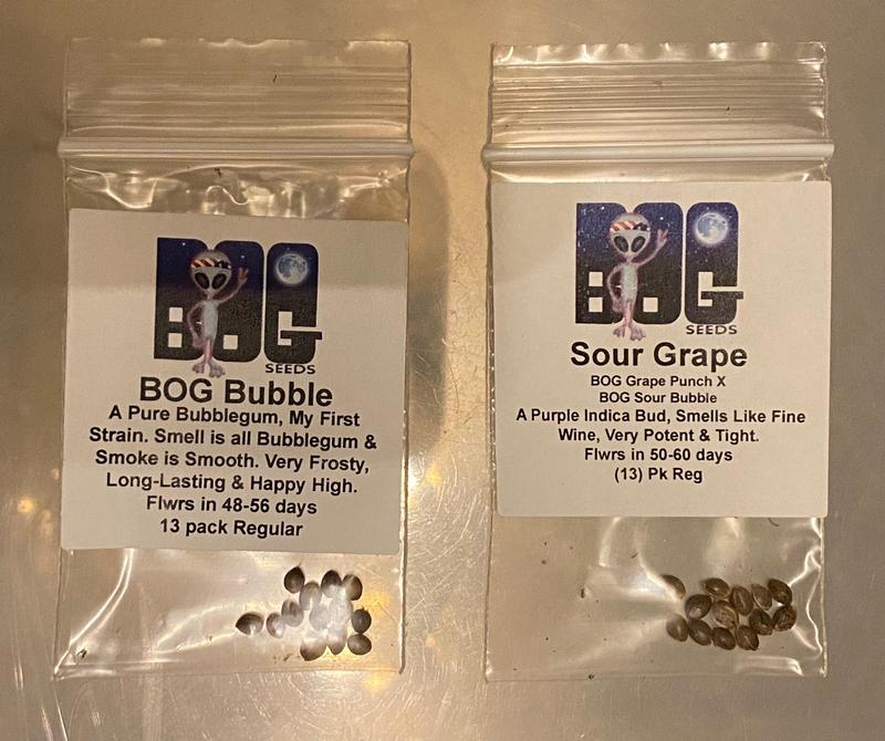 BOG Seeds / Bushy Old Grower