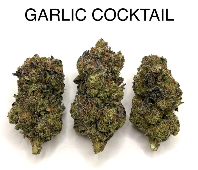 GARLIC COCKTAIL