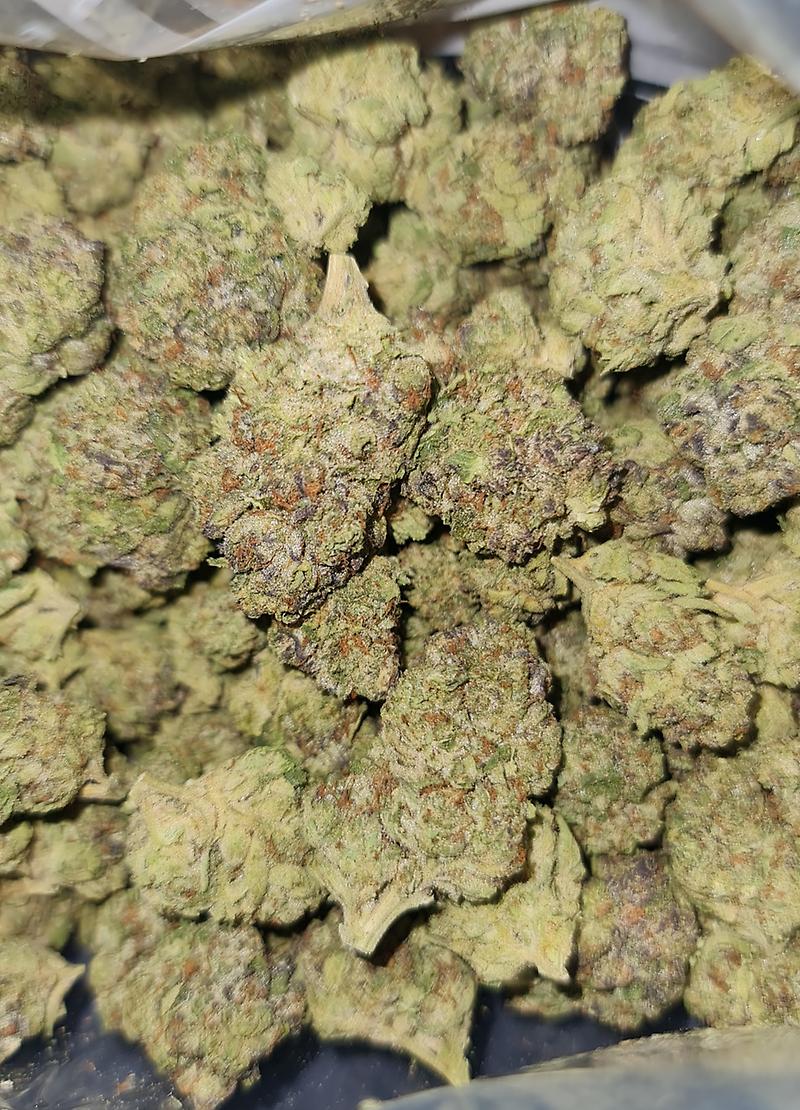 BLUE ZLUSHIE - USA IMPORT