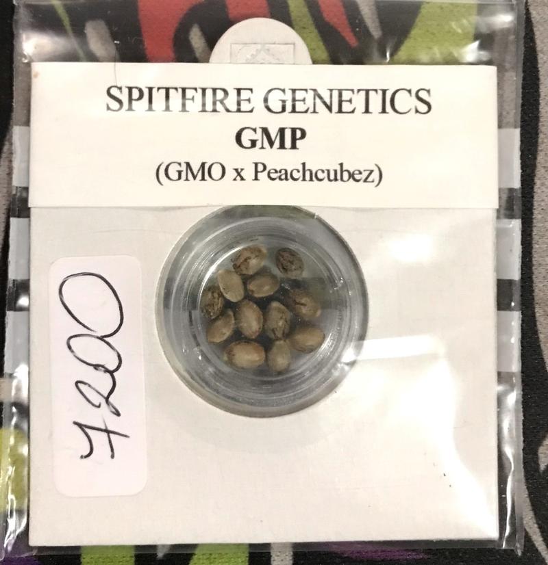 Spitfire Genetics