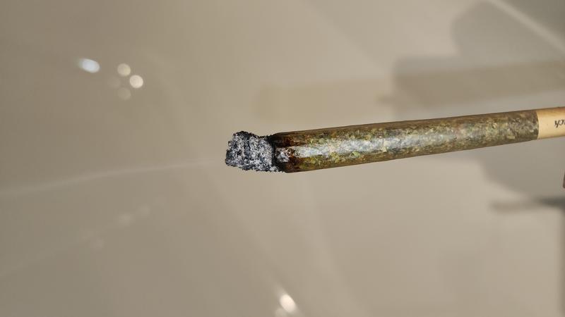 UK GROWN FLOWER