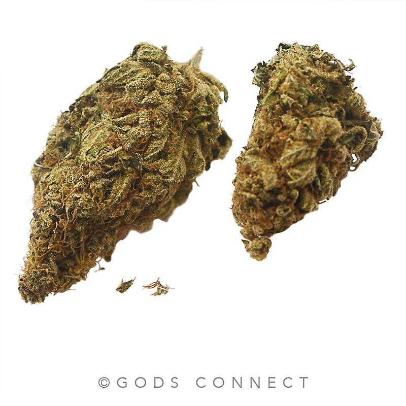 A** UK - Ghost Train - GhostOG X Neville's Wreck