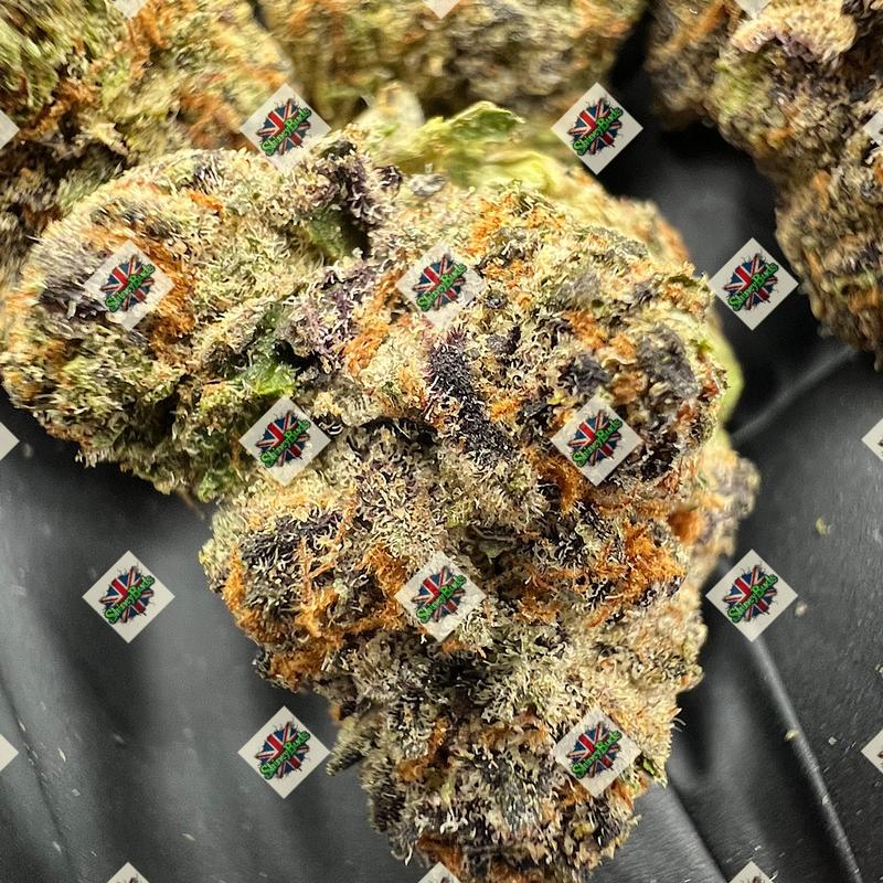 🇺🇸 Lulu Lemon CONNECTED CANNABIS