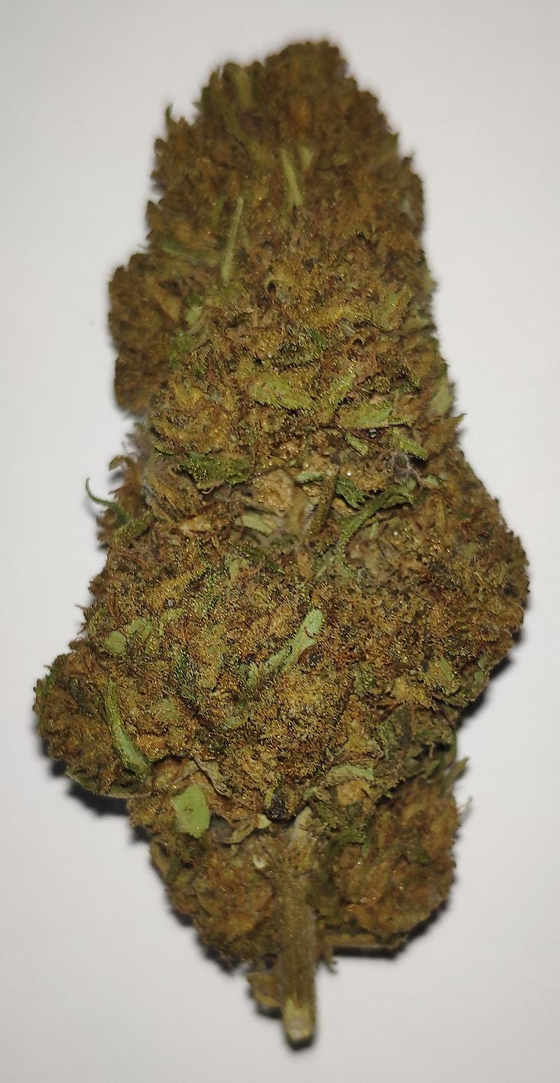 STRAWBERRY FIELDS – 16% CBD BUDS