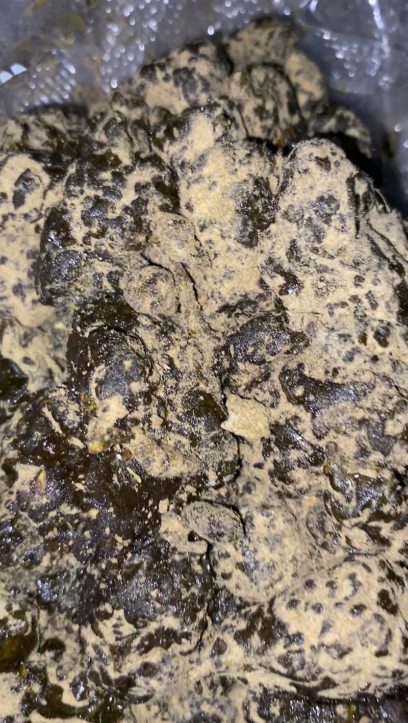 IMPORTED MOONROCKS🇺🇸