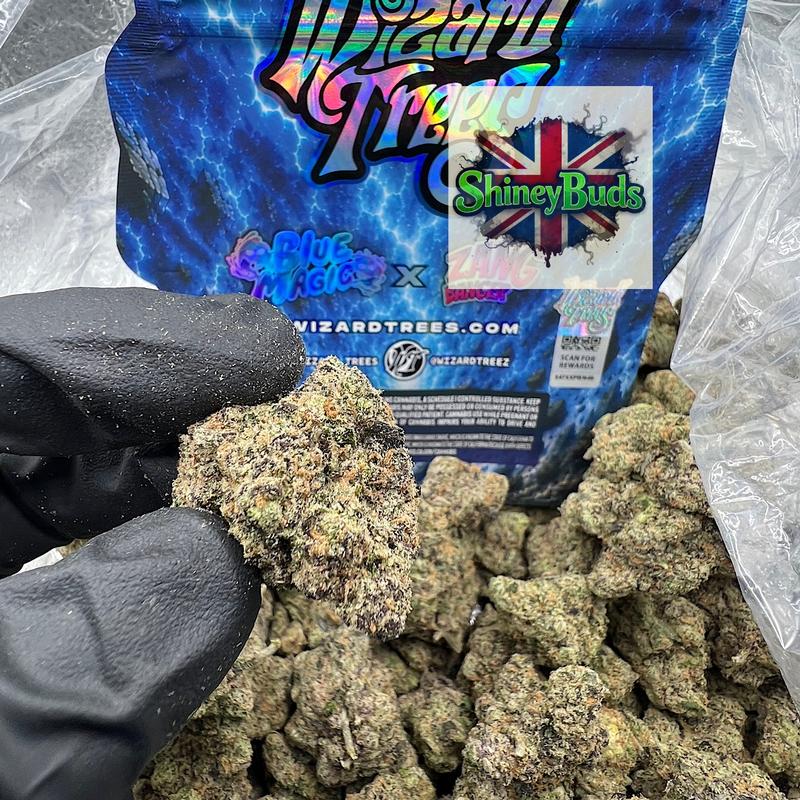 🇺🇸 Blue Banger WIZARD TREES 3.5g Packs