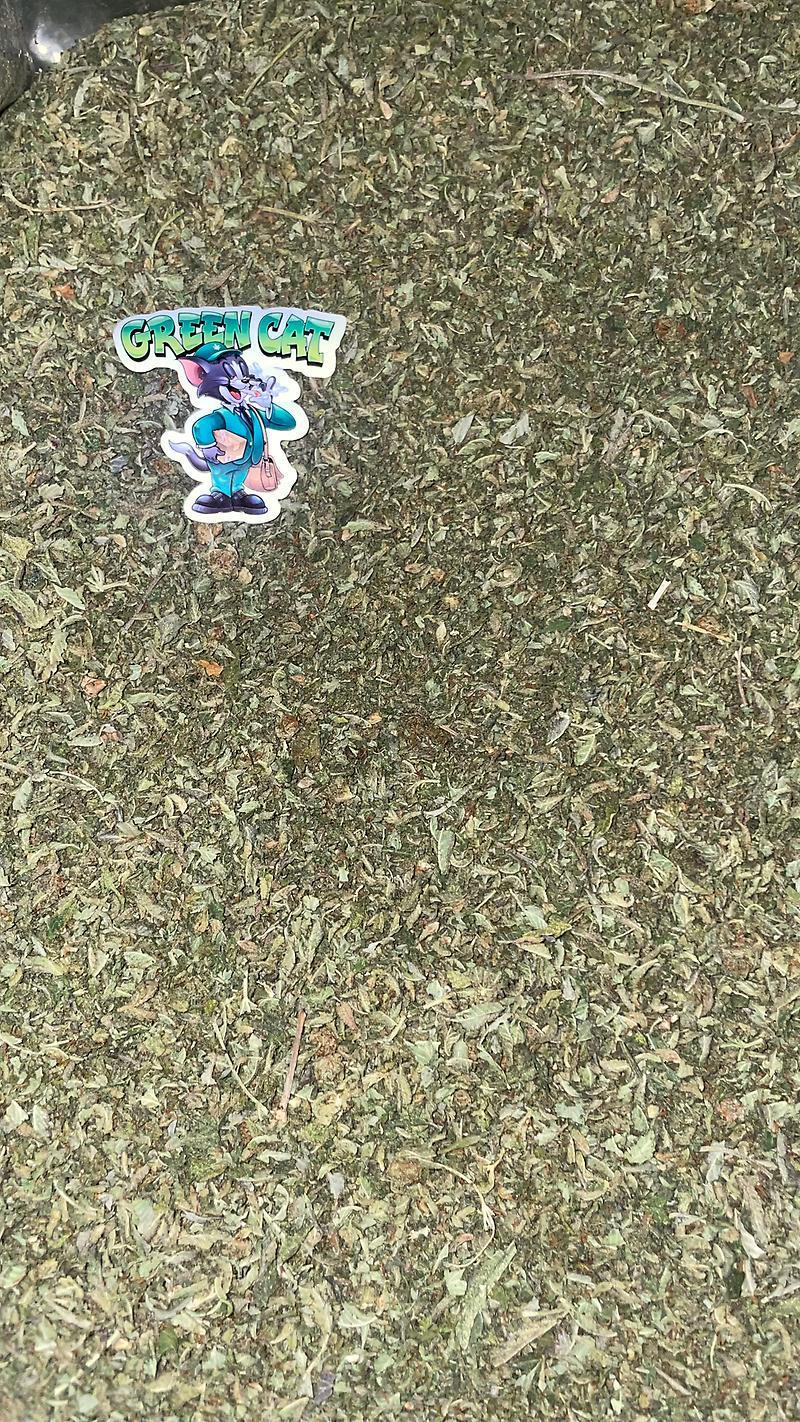 WATERMELON ZKITTLEZ TRIM