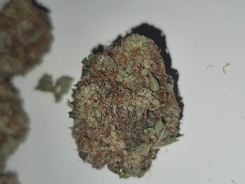 Stardawg