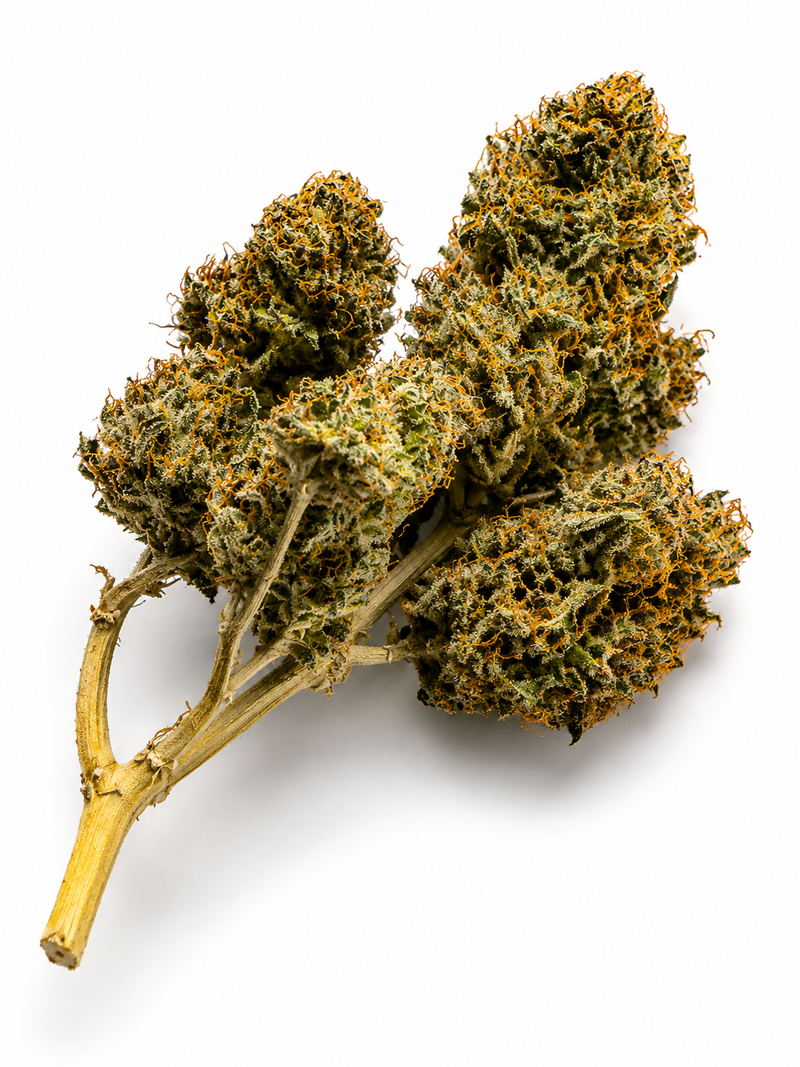 Northern Lights | UK Home Grown Indica, Free Tracked 24