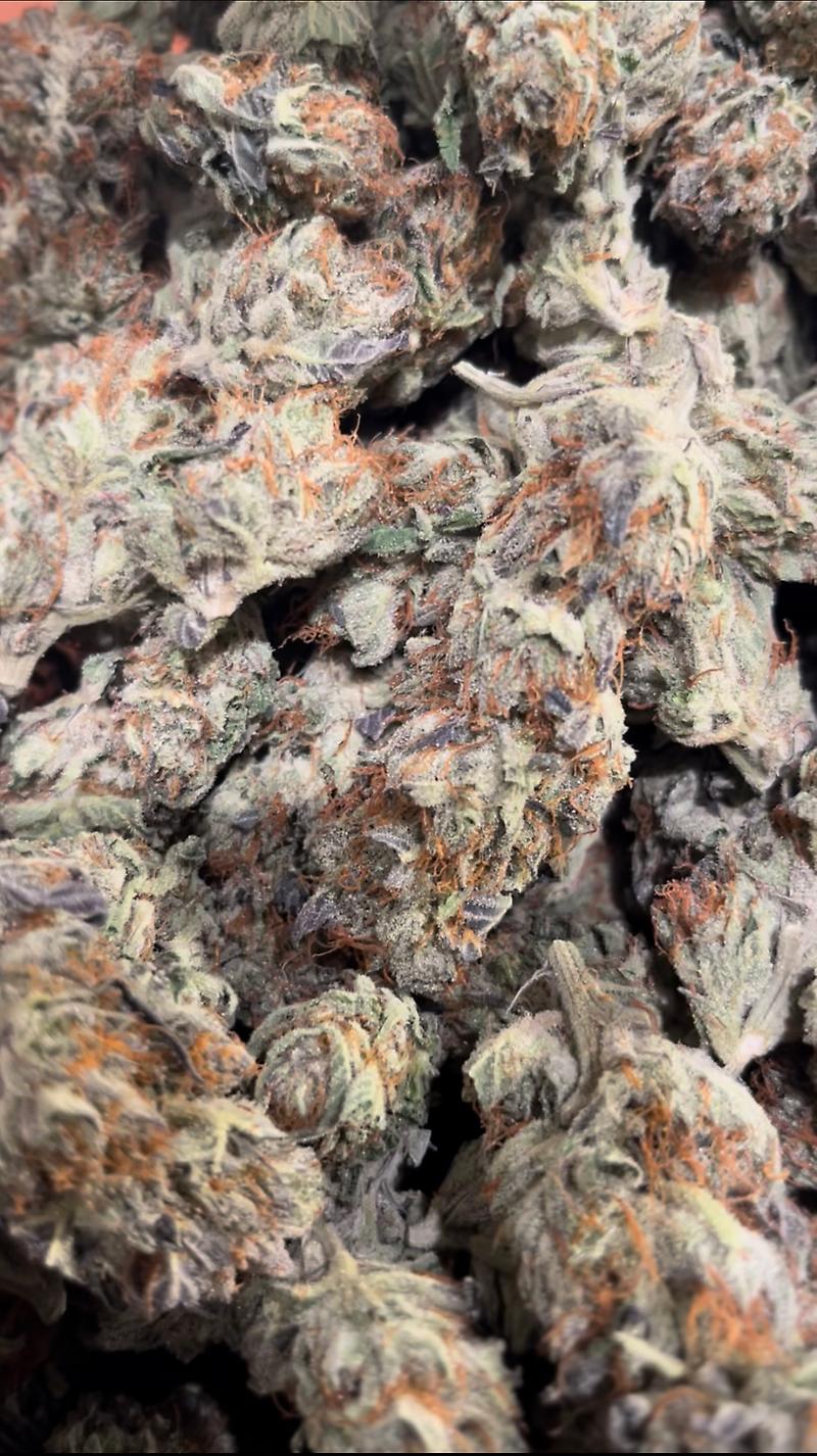 Blueberry AKA Berry Blue