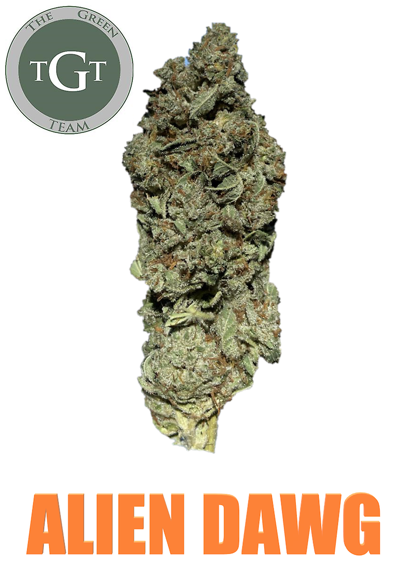ALIEN DAWG *FRESH STOCK**
