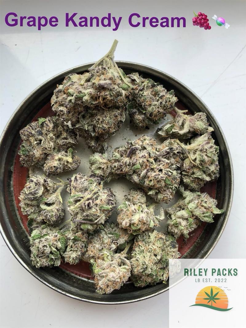 Cherry sherbet (Sunset Sherbet x Cherry cookies BX1)