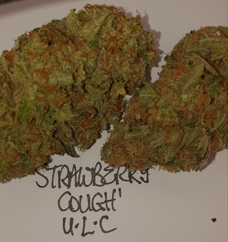 **2 STRAIN VARIETY PACK - (FREE RM 1ST CLASS)SC/GD