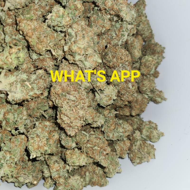 UK BUD'S