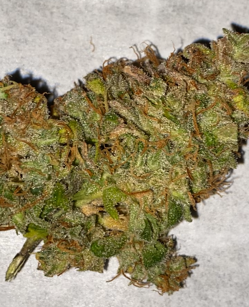 BigJuice Crisp Apple / Cali Genetics (Top-Shelf)