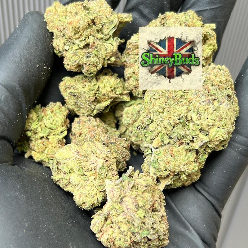🇬🇧 Blue Kool Aid