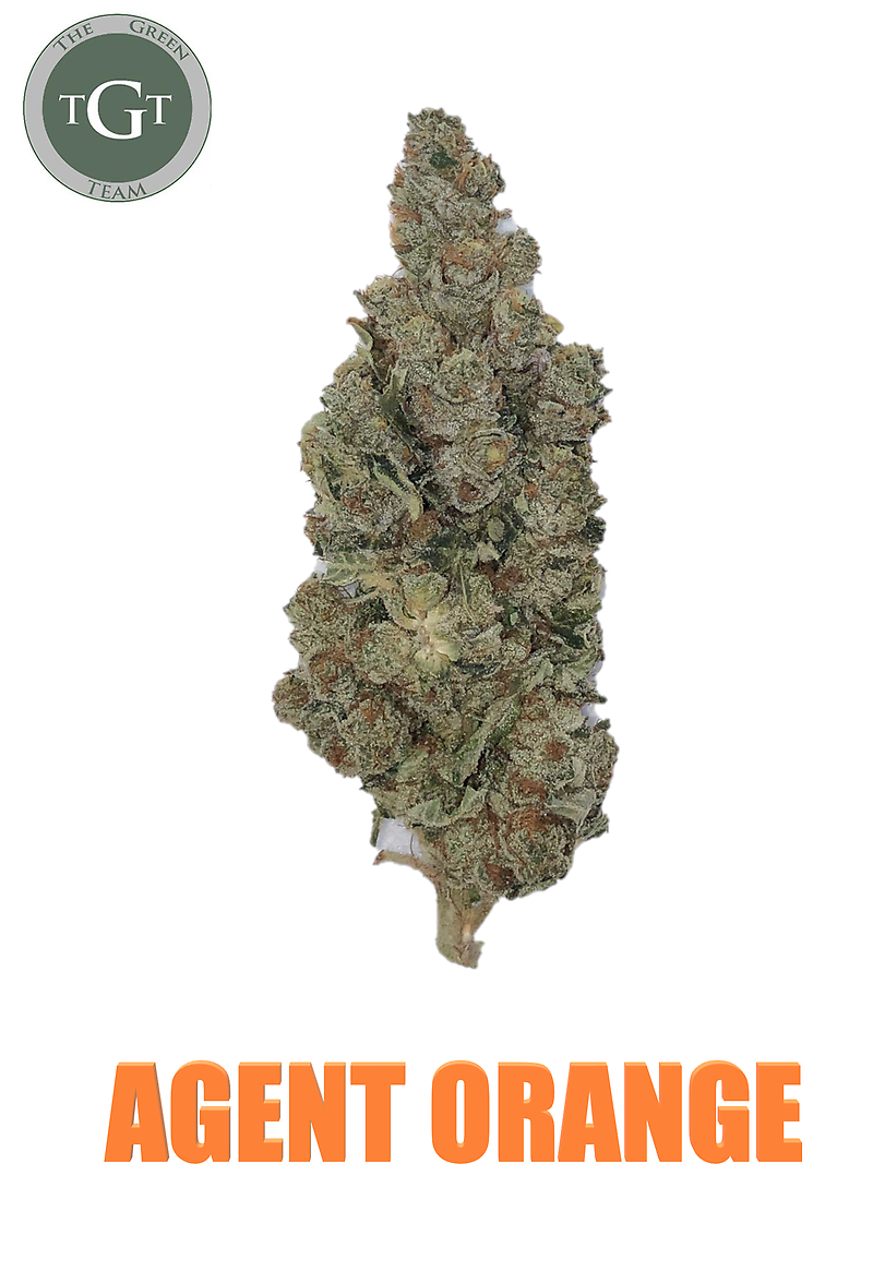 AGENT ORANGE *PREMIUM*