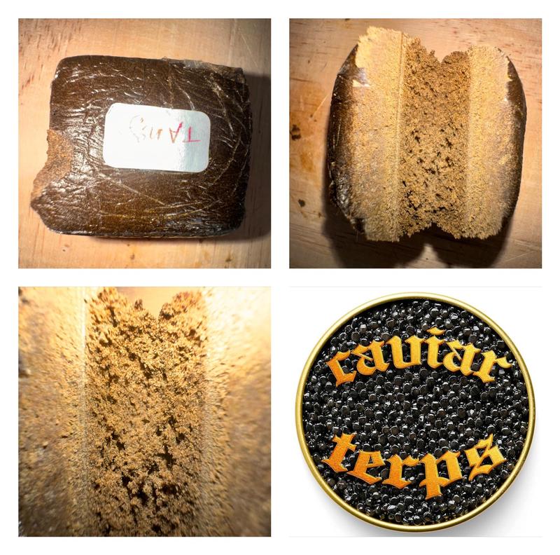 Caviar Terps 3x dry hash