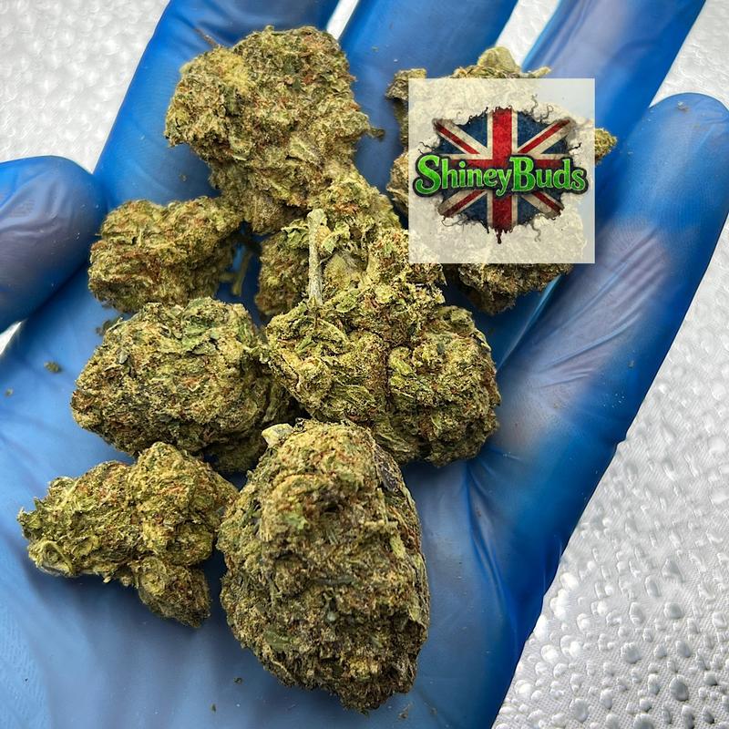 🇺🇸 Cherry Bombz (Mids)