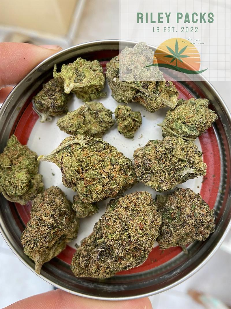 Jack Frost (White widow x Northern Lights)