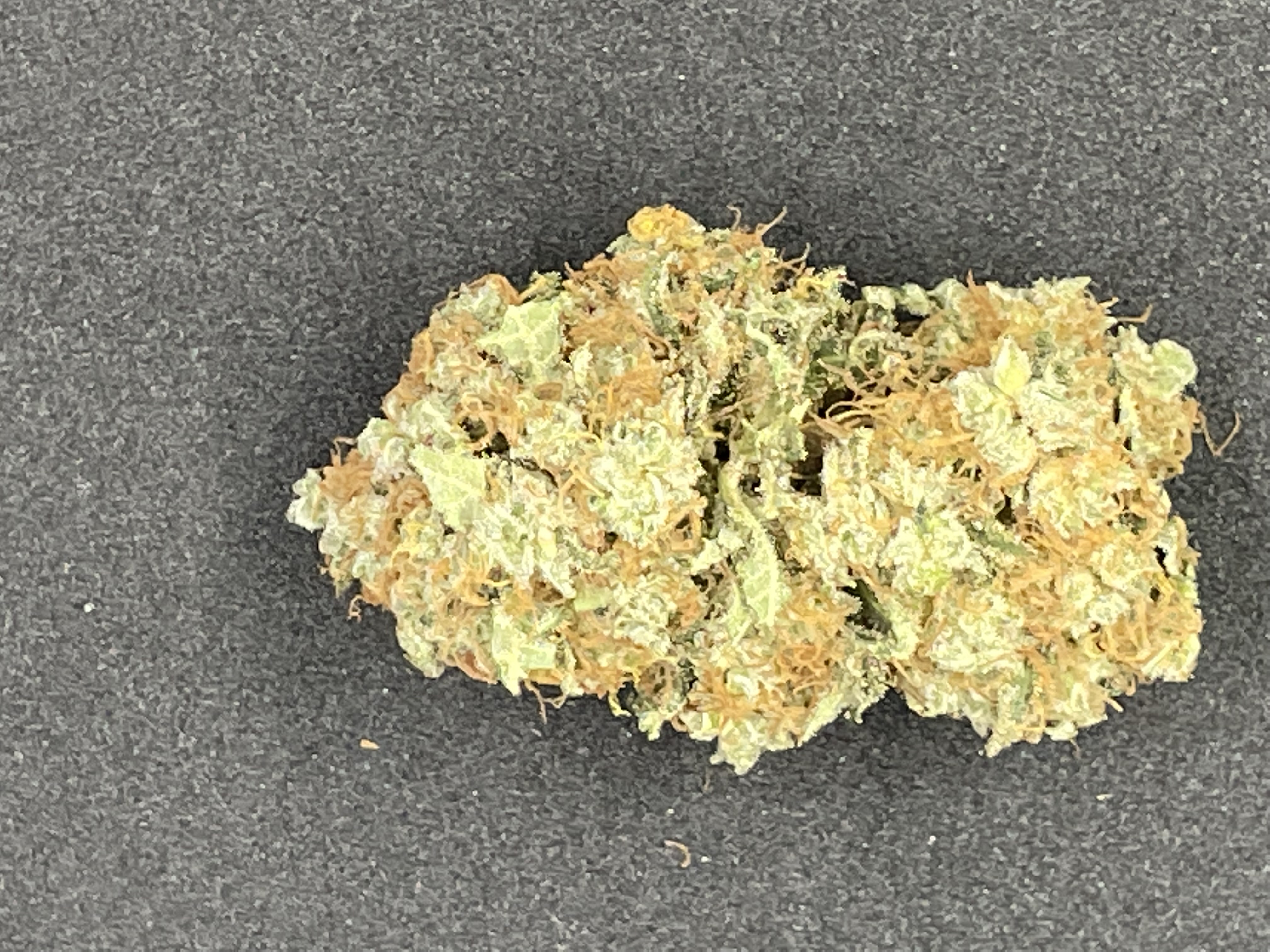 WHITE WIDOW (HYBRID)