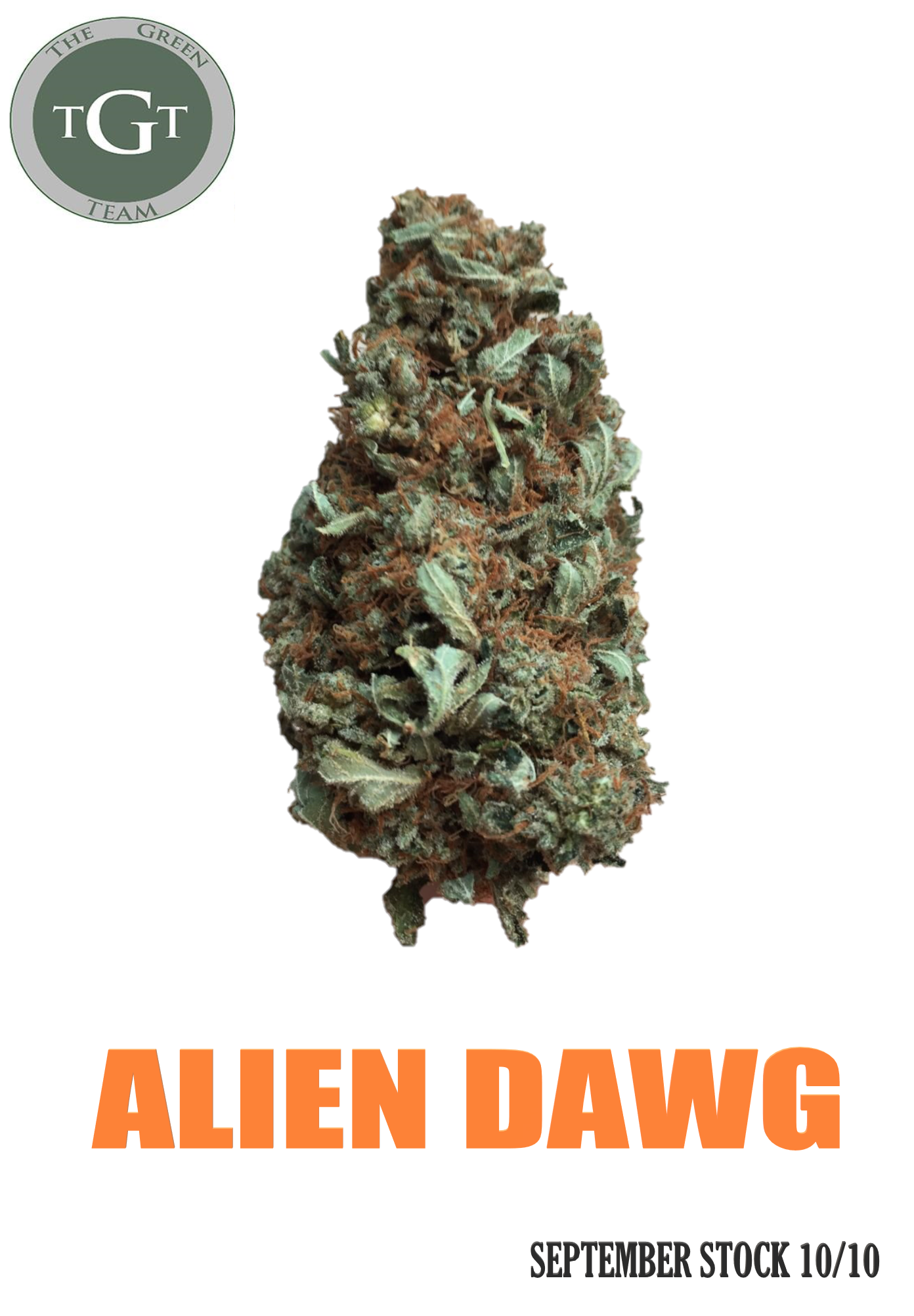 ALIEN DAWG **SEPTEMBER STOCK**